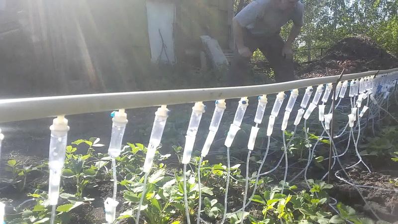 Вариант с капельницами