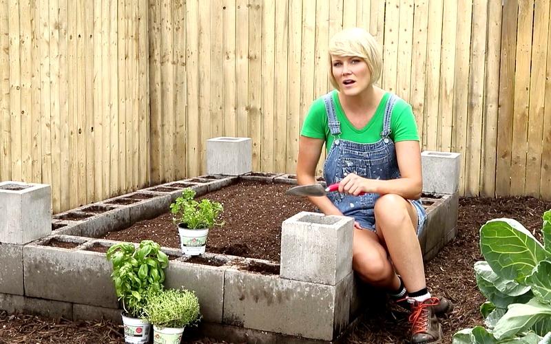 высокие грядки из керомзита Следующий популярный материал для устройства стенок высоких грядок – керамзитные блоки